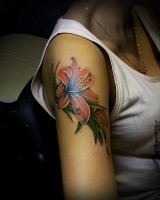 /album/raboty-tattoozzz/a5rvrqjl97j4-jpg/